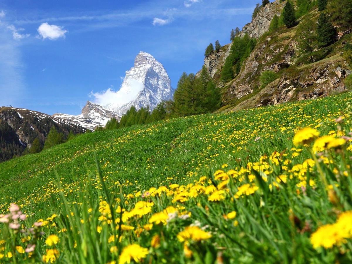 Apartment Select By Interhome Zermatt Esterno foto